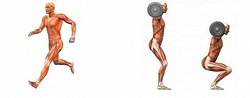 gymnastics and strength training for weight loss