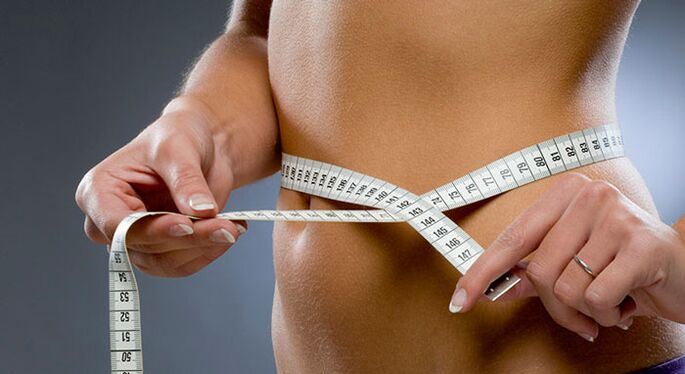 Stomach